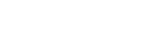 SecureVision 